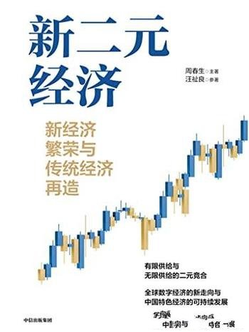 《新二元经济:新经济繁荣与传统经济再造》周春生著作