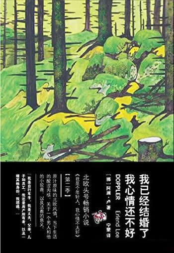 《我已经结婚了,我心情还不好》/作品原汁原味的北欧风