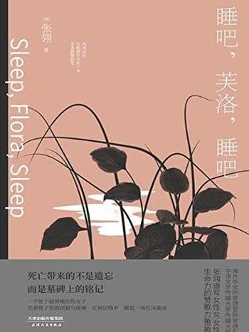 《睡吧,芙洛,睡吧》张翎/在异国他乡掀起一场狂风暴雨