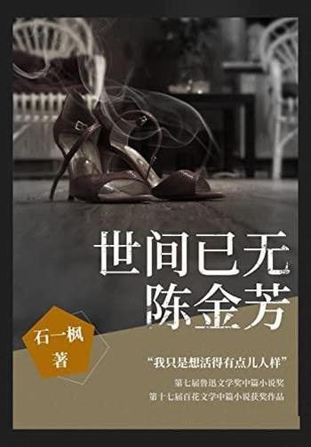 《世间已无陈金芳》石一枫/第七届鲁迅文学奖获奖作品!