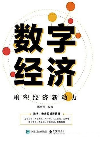 《数字经济》杨新臣/重塑经济新动力,未来发展重点方向