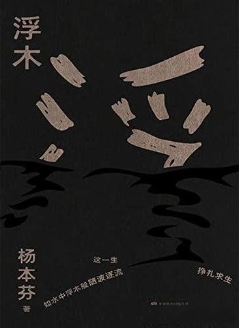 《浮木》杨本芬/这一生,如水中浮木般随波逐流挣扎求生