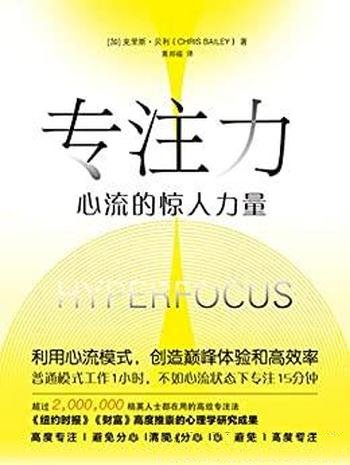 《专注力:心流的惊人力量》贝利/创造高效率和巅峰体验