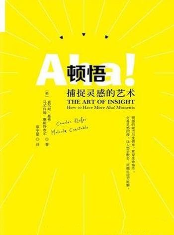 《顿悟:捕捉灵感的艺术》/向个人企业提供实用理论指南