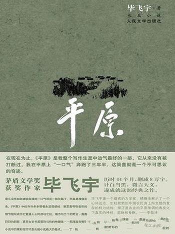 《平原》毕飞宇/权力倾轧下人性,人与人之间的爱与温柔