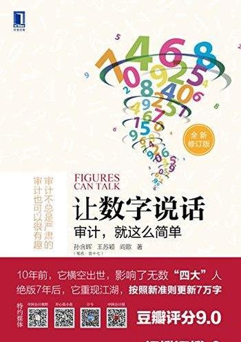 《让数字说话:审计,就这么简单》阎歌/化繁复为轻简哦