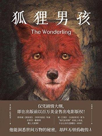 《狐狸男孩》/本书纸上奇迹,不会让你失望哪怕一秒钟!