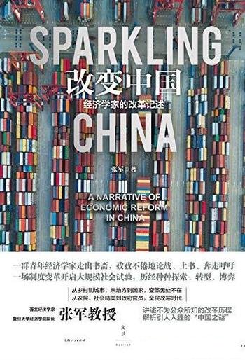 《改变中国:经济学家的改革记述》张军/动人心魄的时刻