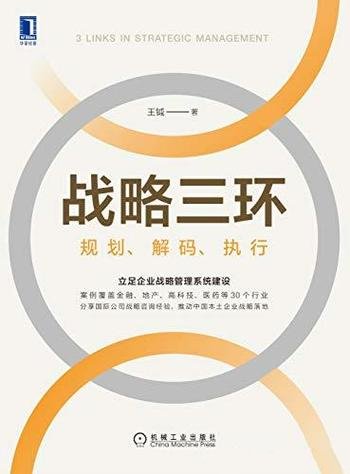 《战略三环:规划、解码、执行》王钺/国际公司战略经验