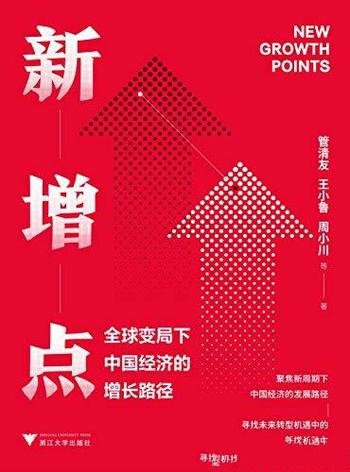 《新增点:全球变局下中国经济的增长路径》/要如何纾困