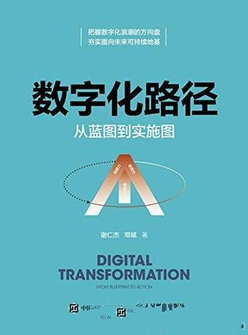 《数字化路径:从蓝图到实施图》谢仁杰/打造数字化能力