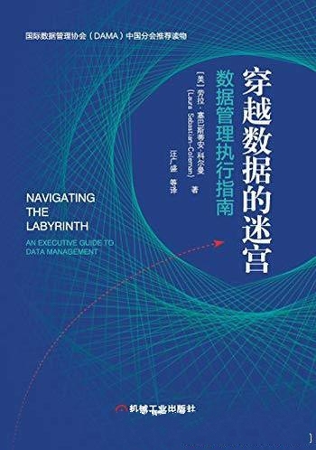 《穿越数据的迷宫》塞巴斯蒂安·科尔曼/数据管理执行书