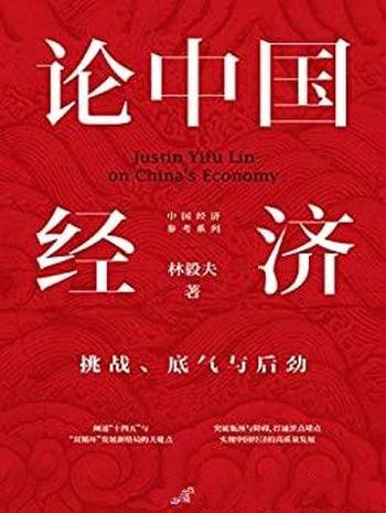 《论中国经济:挑战、底气与后劲》/中国自己理论和创新