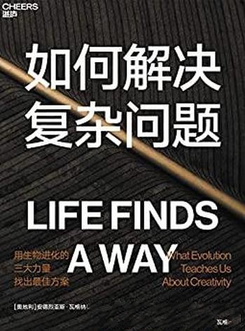 《如何解决复杂问题》瓦格纳/寻找到复杂问题的解决方案