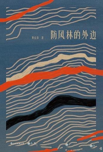 《防风林的外边》黄启泰/站在防风林里,凝视外边的风景