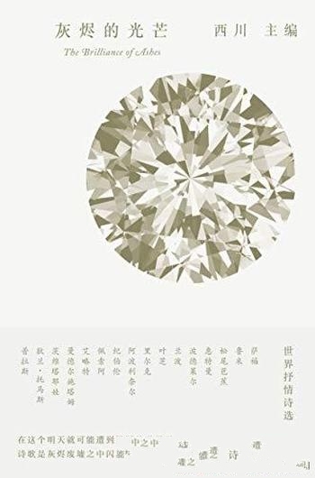 《灰烬的光芒》西川/含44位世界诗人,103首 经典抒情诗
