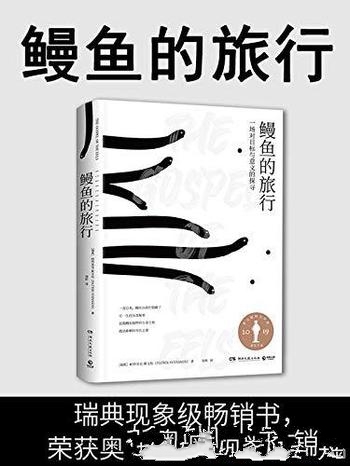《鳗鱼的旅行》斯文松/引爆欧洲,和鳗鱼一样难以被定义