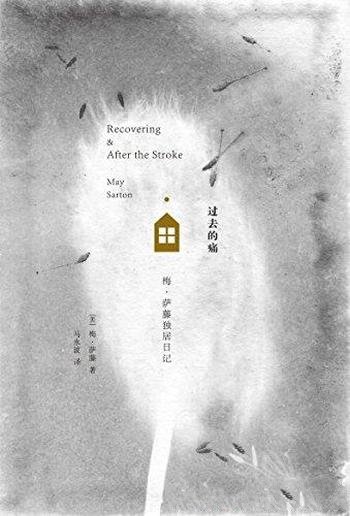 《过去的痛:梅·萨藤独居日记》/写给因孤独而迷茫的人