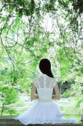 《从容品尝生命的滋味》席慕蓉/散文脍炙人口,成为经典