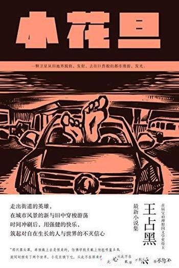 《小花旦》王占黑/这是王占黑最新小说集,蜕变成熟之作