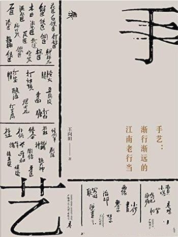 《手艺:渐行渐远的江南老行当》王向阳/成为历史老手艺