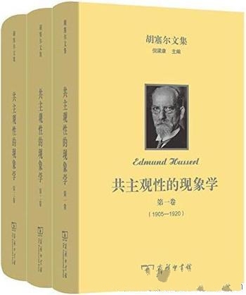 《胡塞尔文集: 共主观性的现象学》全三卷/思考共主观性