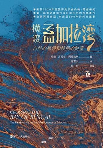 《横渡孟加拉湾:自然的暴怒和移民的财富》豆瓣评分9.4
