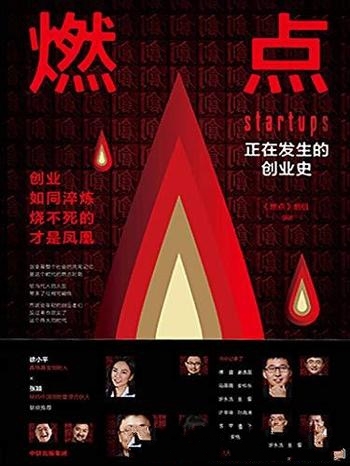 《燃点:正在发生的创业史》/经典创投案例当代创业图鉴