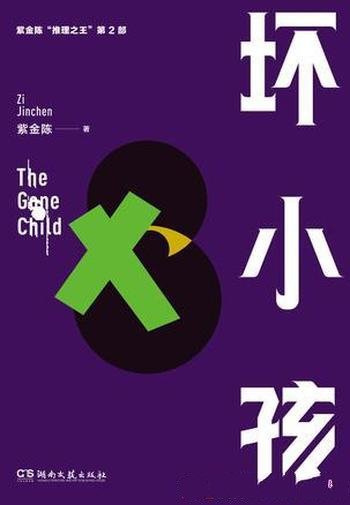 《坏小孩》紫金陈/徐静有了外遇后,并向张东升提出离婚