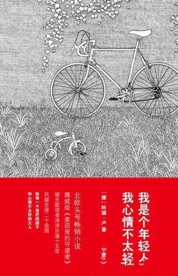 《我是个年轻人,我心情不太好》阿澜·卢/北欧畅销小说