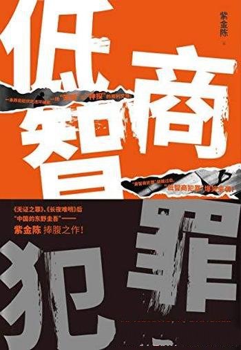 《低智商犯罪》紫金陈/两个愚蠢盗贼为了争夺江湖地位