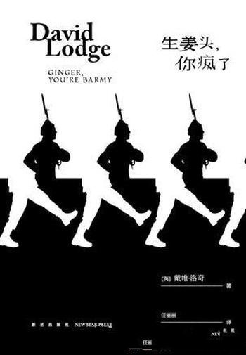 《生姜头,你疯了》戴维·洛奇/军旅题材黑色幽默作品