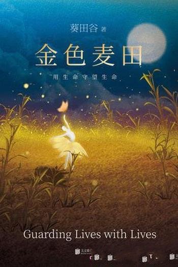 《金色麦田》葵田谷/是以悬疑推理为壳,题材包罗万象