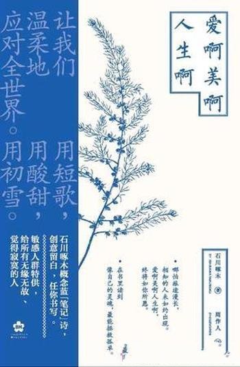 《爱啊美啊人生啊》石川啄木/留下美丽空白,任你书写
