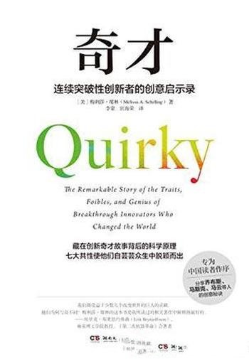 《奇才》梅利莎·席林/少数极其成功连续突破性创新者