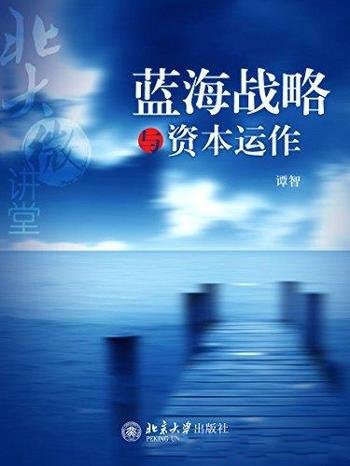 《北大微讲堂:蓝海战略与资本运作》谭智/成功小元素