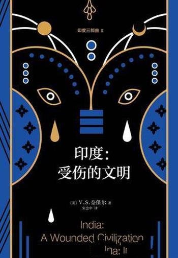 《印度三部曲2:受伤的文明》/黑暗时代进另一黑暗时代