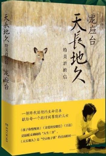 《天长地久:给美君的信》/龙应台2018力作
