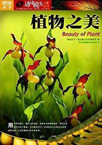 《植物之美》春华秋实,草长鹰飞,绿肥红瘦┊