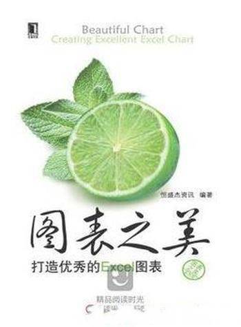 《图表之美:打造优秀的Excel图表》恒盛杰资讯