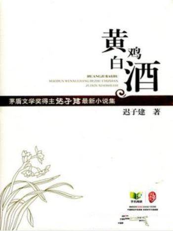 迟子建《黄鸡白酒:迟子建最新小说集》