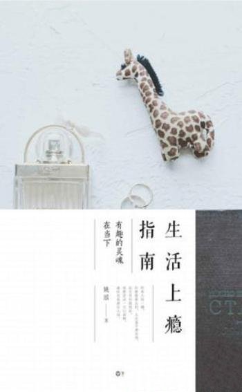 姚瑶《生活上瘾指南:有趣的灵魂在当下》