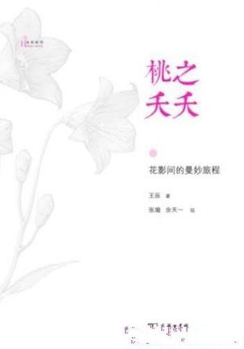 王辰《桃之夭夭:花影间的曼妙旅程》自然感悟
