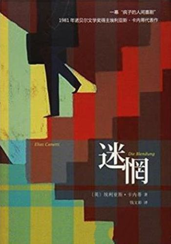 埃里亚斯·卡内蒂《迷惘》卡内蒂唯一部小说