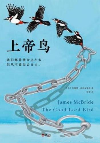 詹姆斯·麦克布莱德《上帝鸟》(精制多看版)