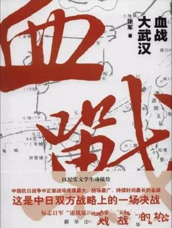 张军《血战大武汉》(精制插图本)