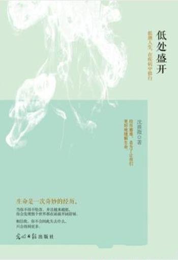 沈熹微《低处盛开:低潮人生,在疾病中修行》