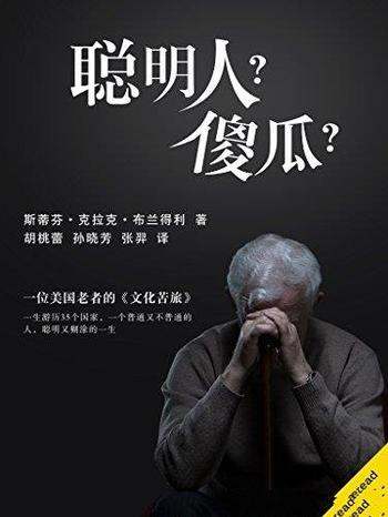 《聪明人?傻瓜?》布兰得利/一位美国老者的文化苦旅