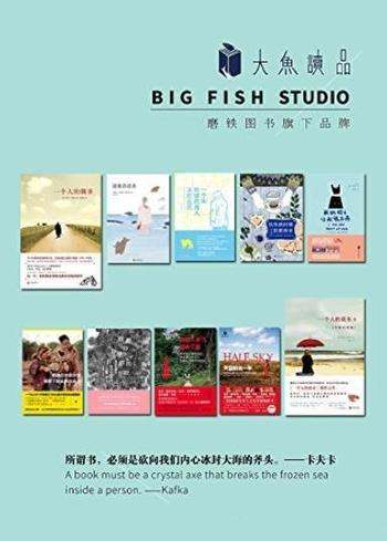 《大鱼读品系列精选套装》/忧伤的时候,到厨房去等