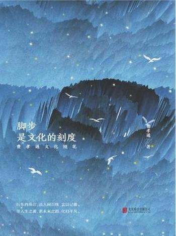 《脚步,是文化的刻度》费孝通/对中国文化理解和思考